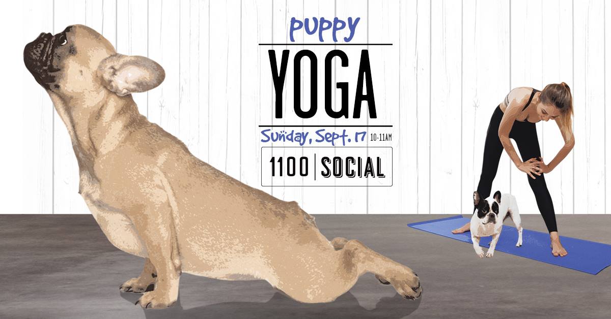 Puppy Yoga 10/1 with PAWS Wooder Ice