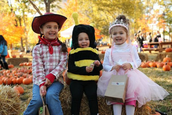 trick-or-treat-trail-franklin-square