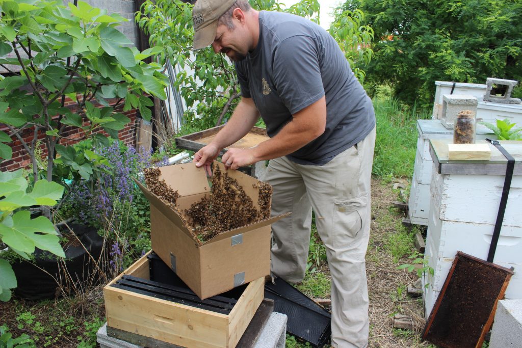 bee-keeping