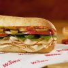 Wawa Hoagie Day