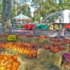 pumpkin-patch-franklin-square