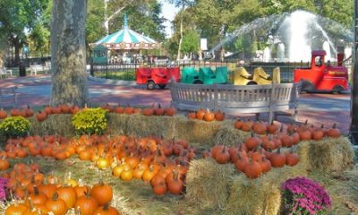 pumpkin-patch-franklin-square