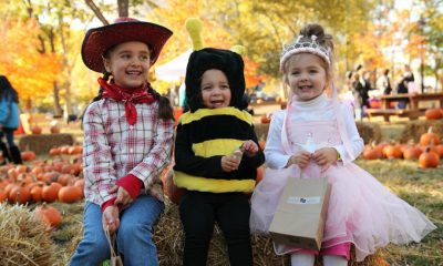 trick-or-treat-trail-franklin-square