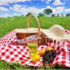 pop up picnic