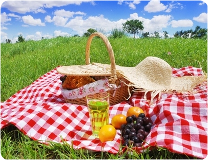 pop up picnic