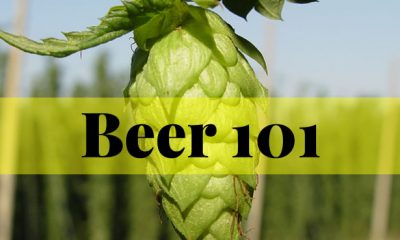 beer-101