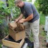 bee-keeping