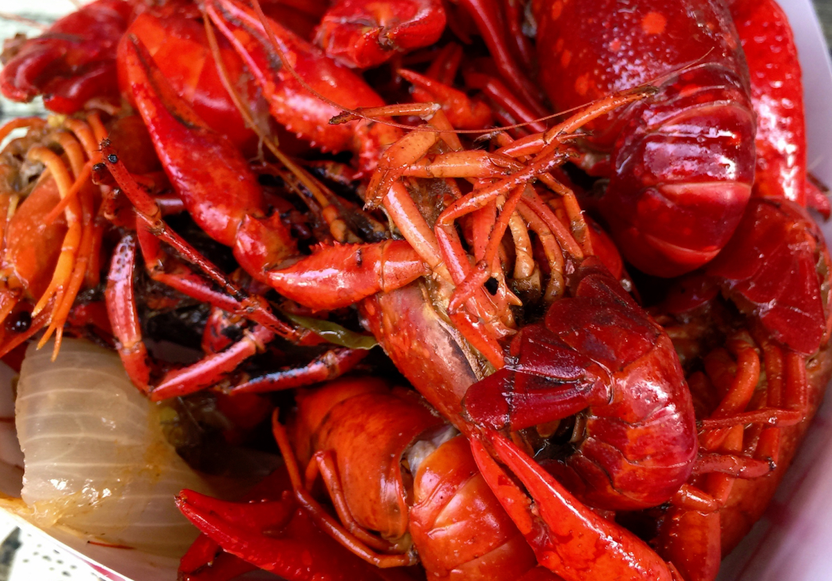 crawfish