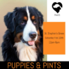 puppies and pints