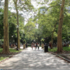 rittenhouse square