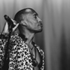 raphael saadiq