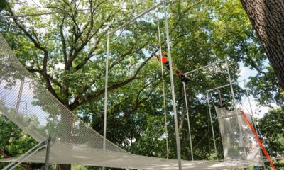 trapeze-school