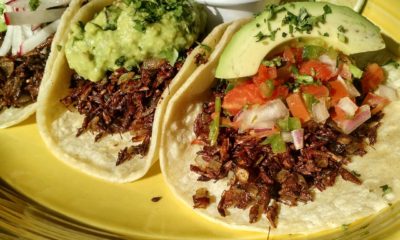 grasshopper_tacos_cafe_ynez