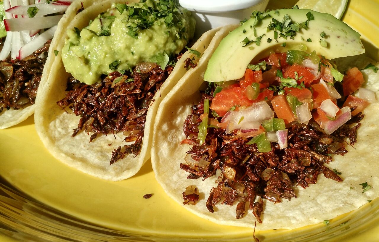 grasshopper_tacos_cafe_ynez