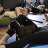 Puppy Yoga 2