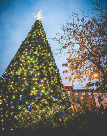 manayunk tree lighting