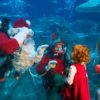 christmas-underwater-adventure aquarium