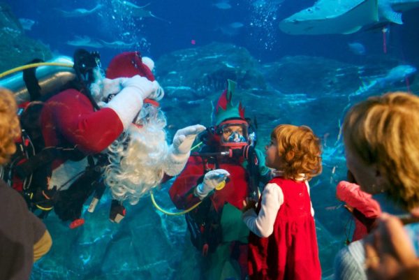 christmas-underwater-adventure aquarium