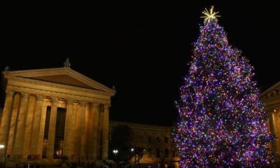 museum of art tree lighting