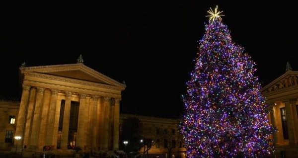 museum of art tree lighting