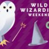 wild wizard weekend