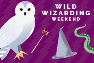 wild wizard weekend