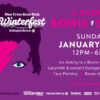 A SNOWY BOWIE SKATE