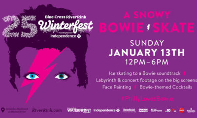 A SNOWY BOWIE SKATE