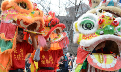 LUNAR NEW YEAR FESTIVAL