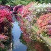 Philadelphia Flower Show