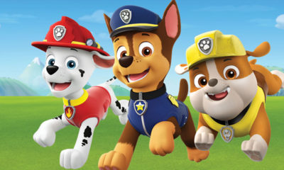 Paw Patrol Live! Race to the Rescue