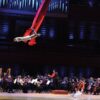 Cirque De La Symphonie