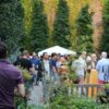 mütter museum Summer Beer Garden