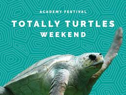 Totally Turtles Weekend