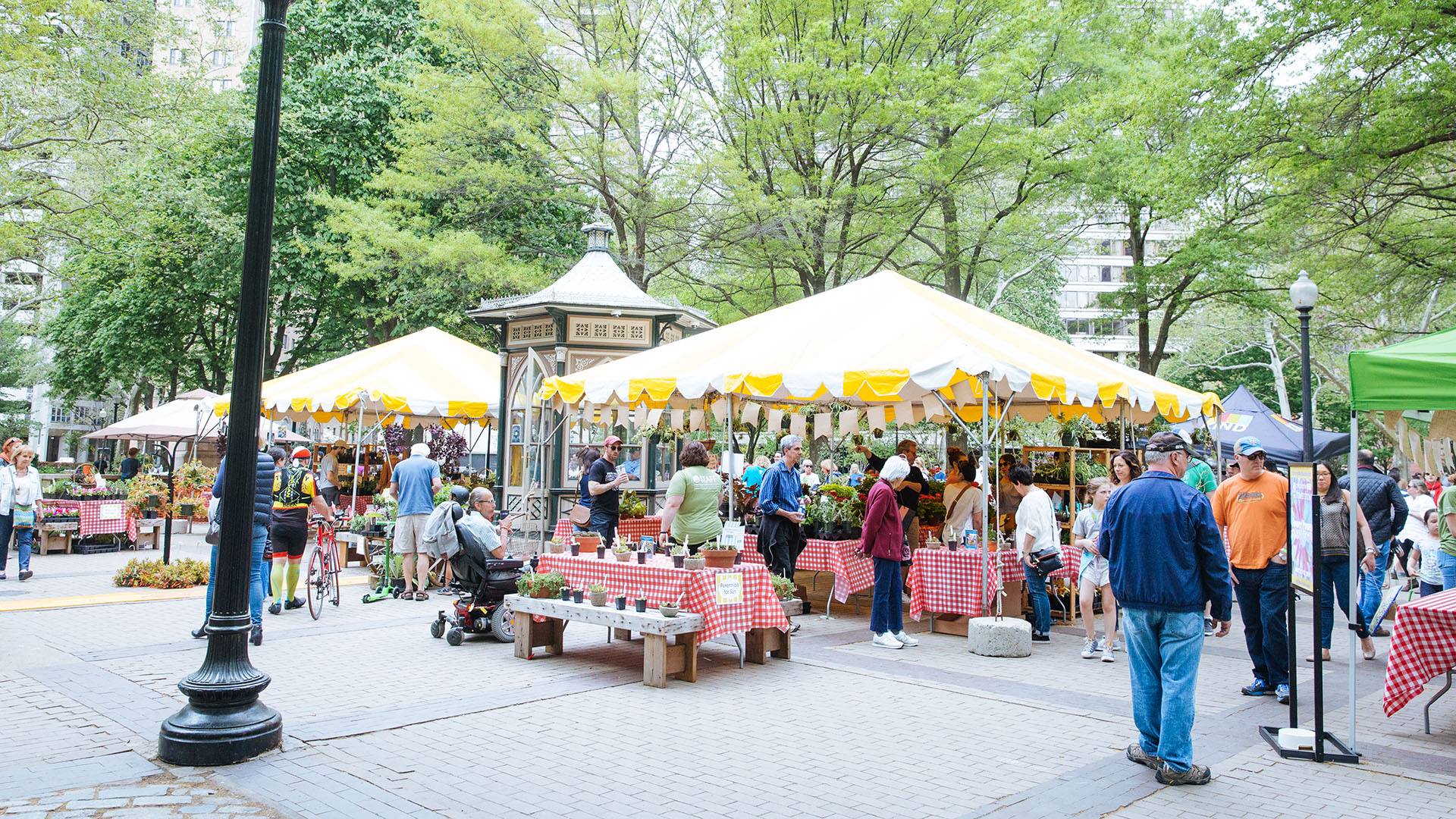 rittenhouse flower market