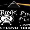 Think Pink Floyd at PennyPack Music Festival