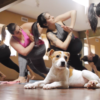 puppy yoga