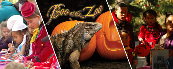 boo at the zoo 2019