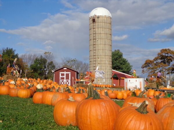 hecklers farm