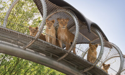 Philadelphia_zoo_reopening