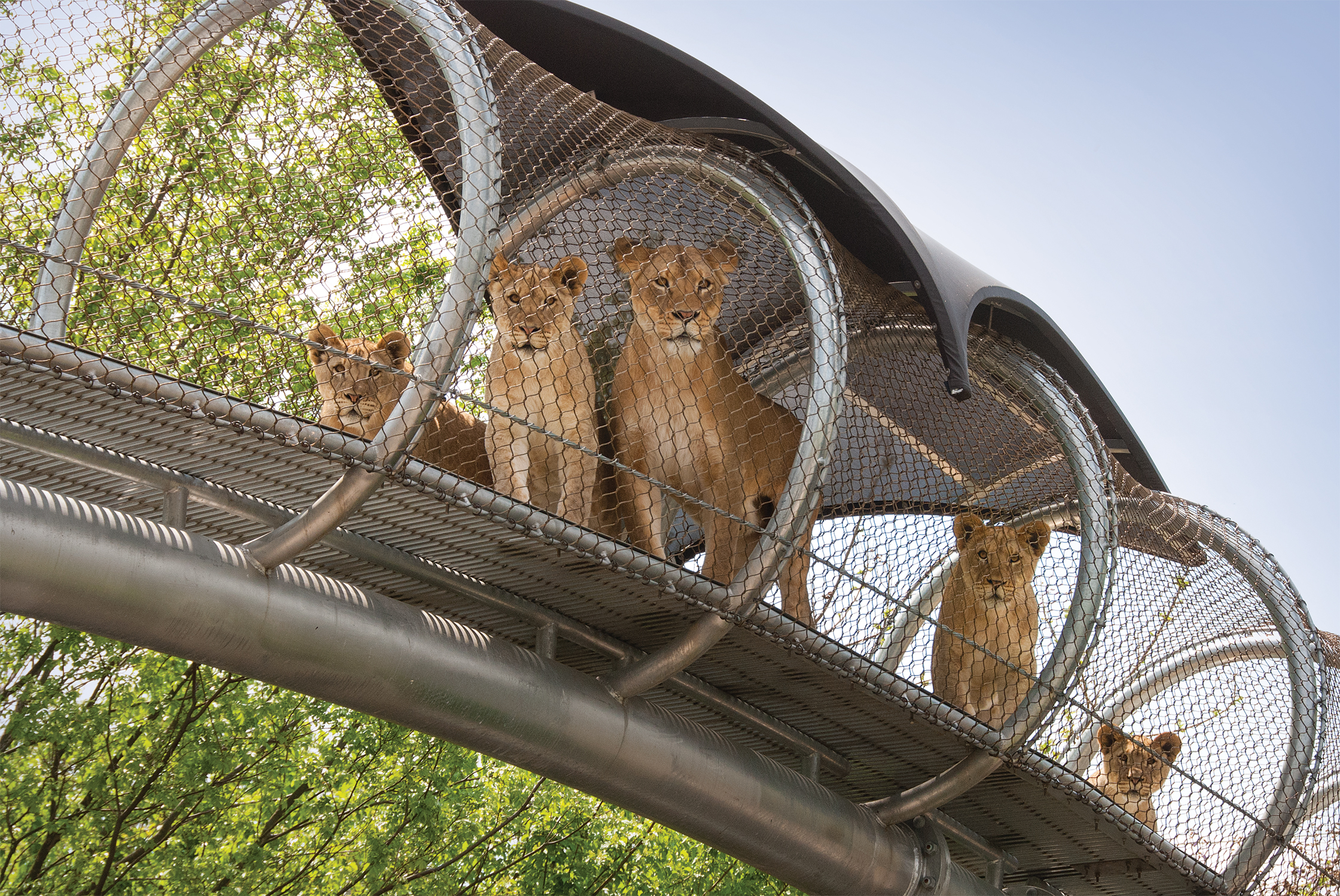 Philadelphia_zoo_reopening