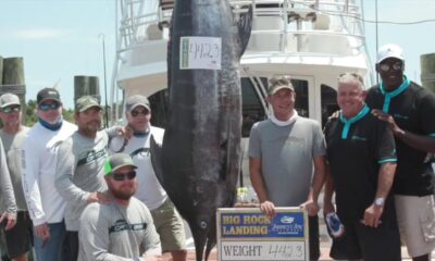 jordan catches marlin