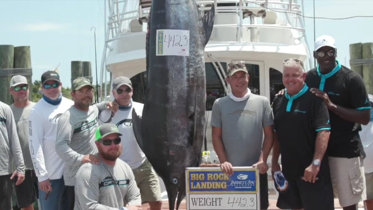 jordan catches marlin