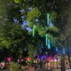 bright lights our city spruce street harbor park