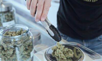 Pennsylvania to Legalize Marijuana