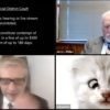 lawyer cat zoom