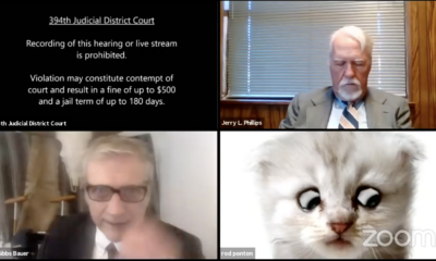 lawyer cat zoom