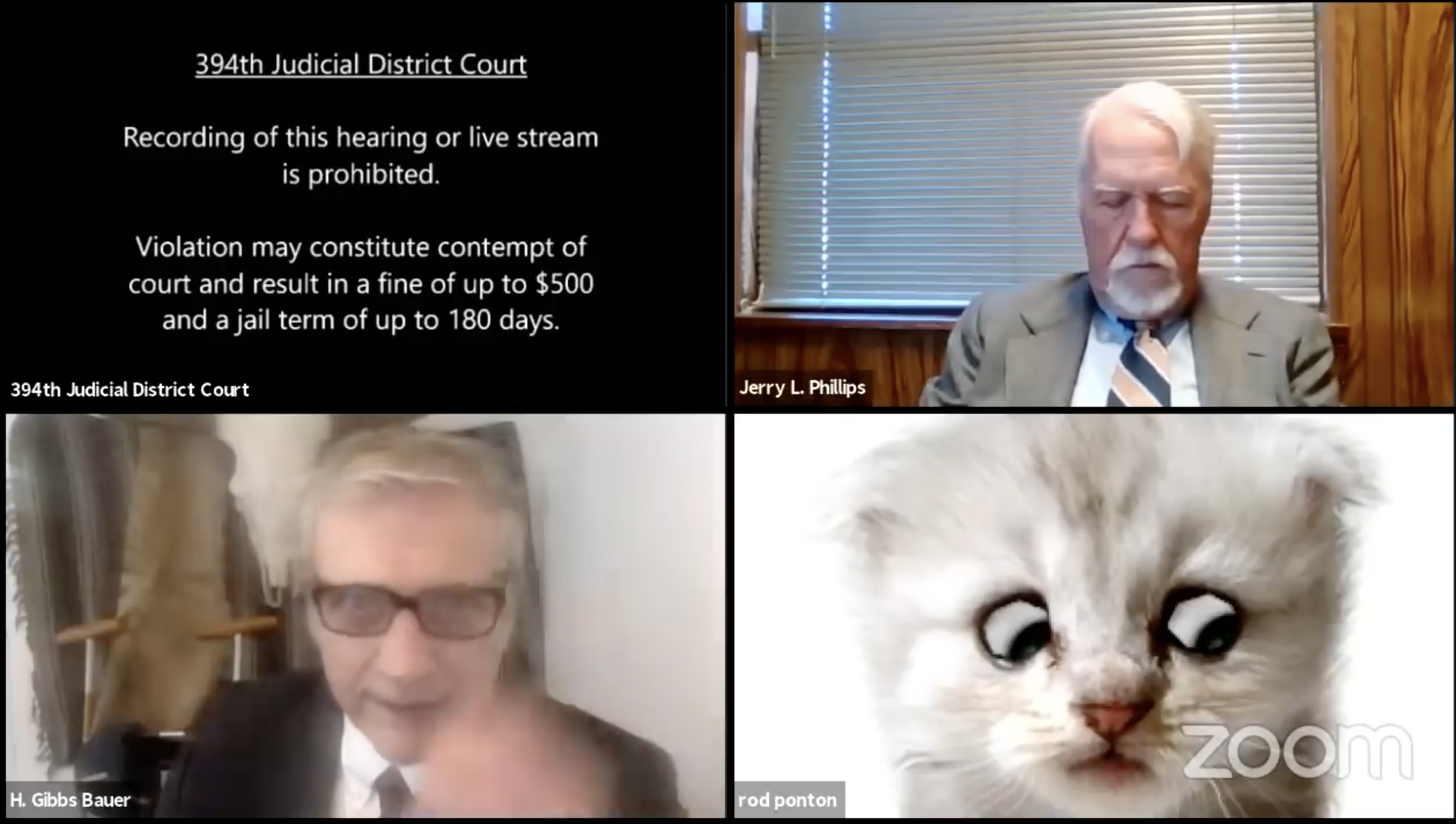 lawyer cat zoom