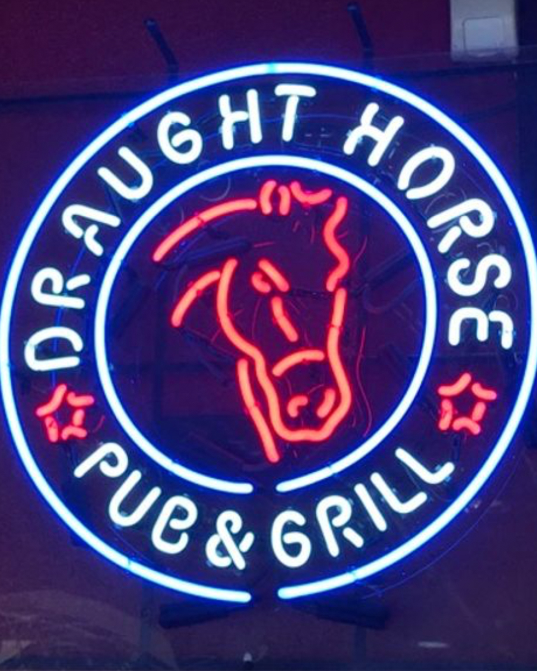 draught horse auction2