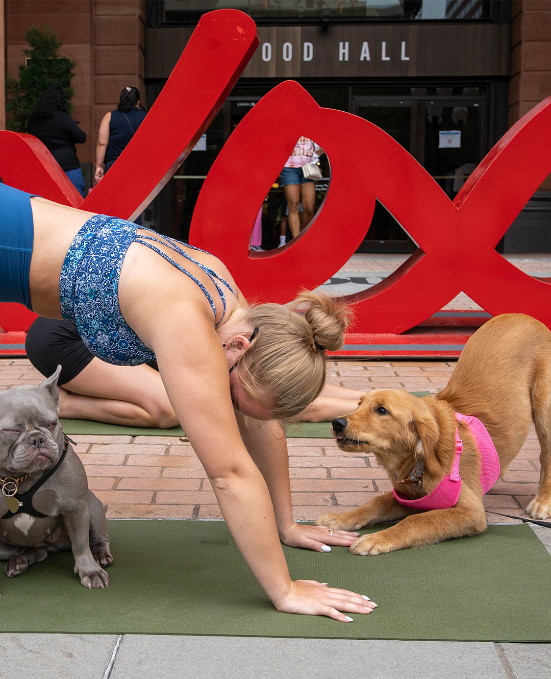 Doggy Yoga